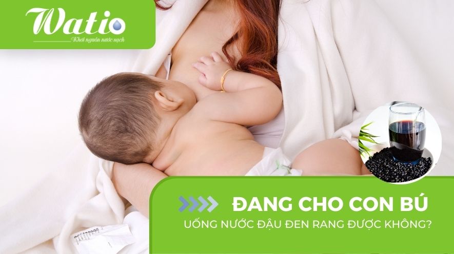 Đang Cho Con Bú Có Uống Được Nước Đậu Đen? Tìm Hiểu Lợi Ích và Cách Dùng